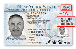 dmv test   new york