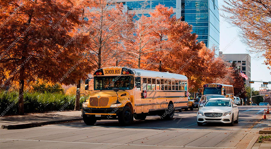 Закон США об остановке перед школьным автобусом