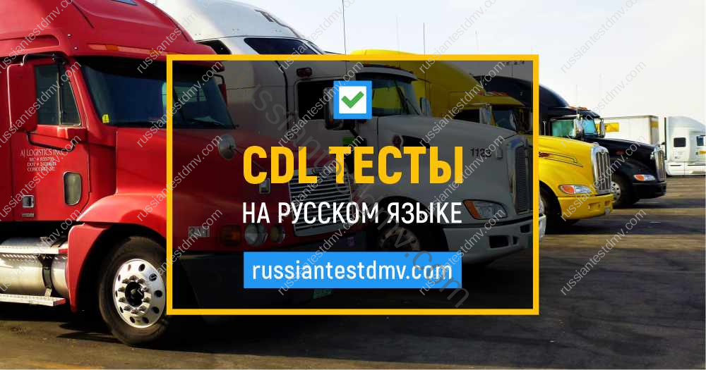 cdl test na russkom